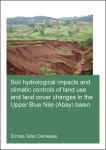 Soil hydrological impacts and climatic controls of land use and land cover changes in the Upper Blue Nile (Abay) basin vignette