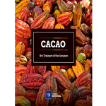 Cacao vignette